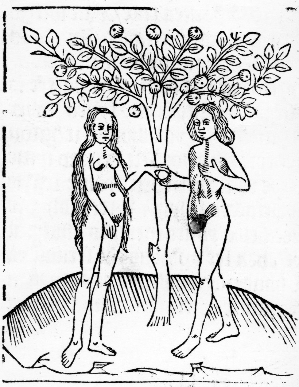 Adam och Eva, illustration från Speculum Vitae Christi, 1491 av English School