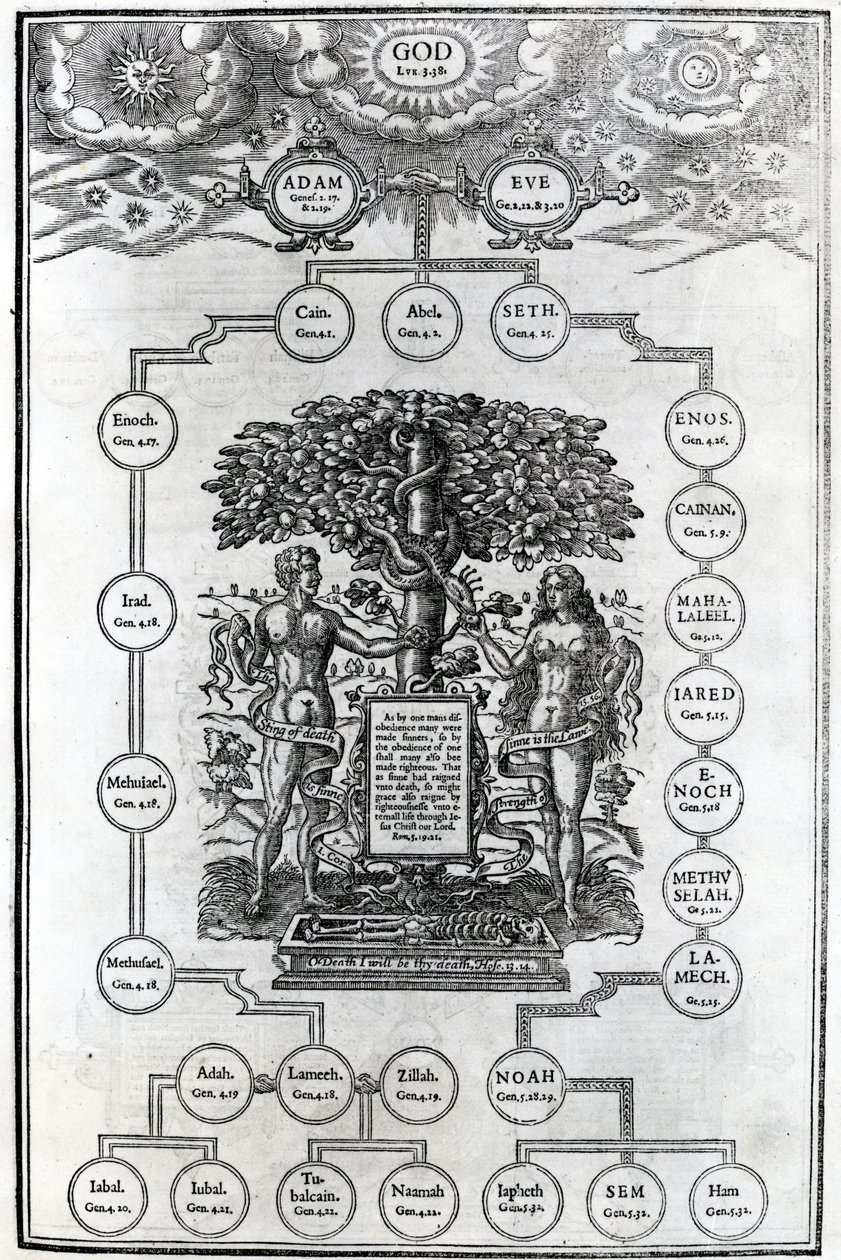 Adam och Evas släktträd, 1556 av English School