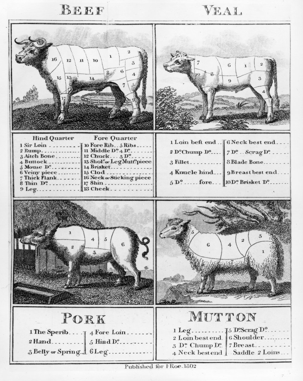 Nötkött, kalvkött, fläsk och fårkött, 1802 av English School