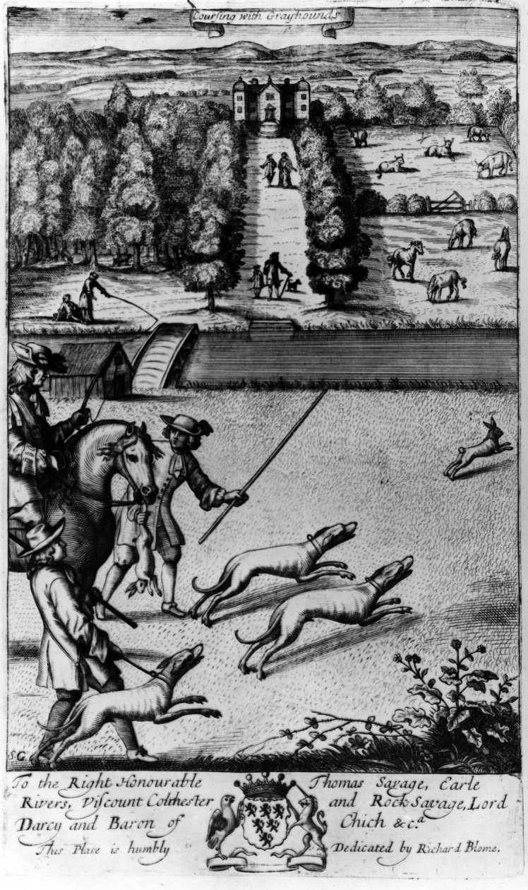 Coursing with Greyhounds, från 
