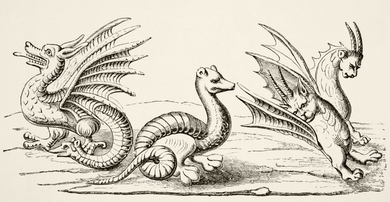 Drakar, efter miniatyrer i 1300-talets "Book of the Marvels of the World", från "Science and Literature in the Middle Ages" av Paul Lacroix, 1878 av English School