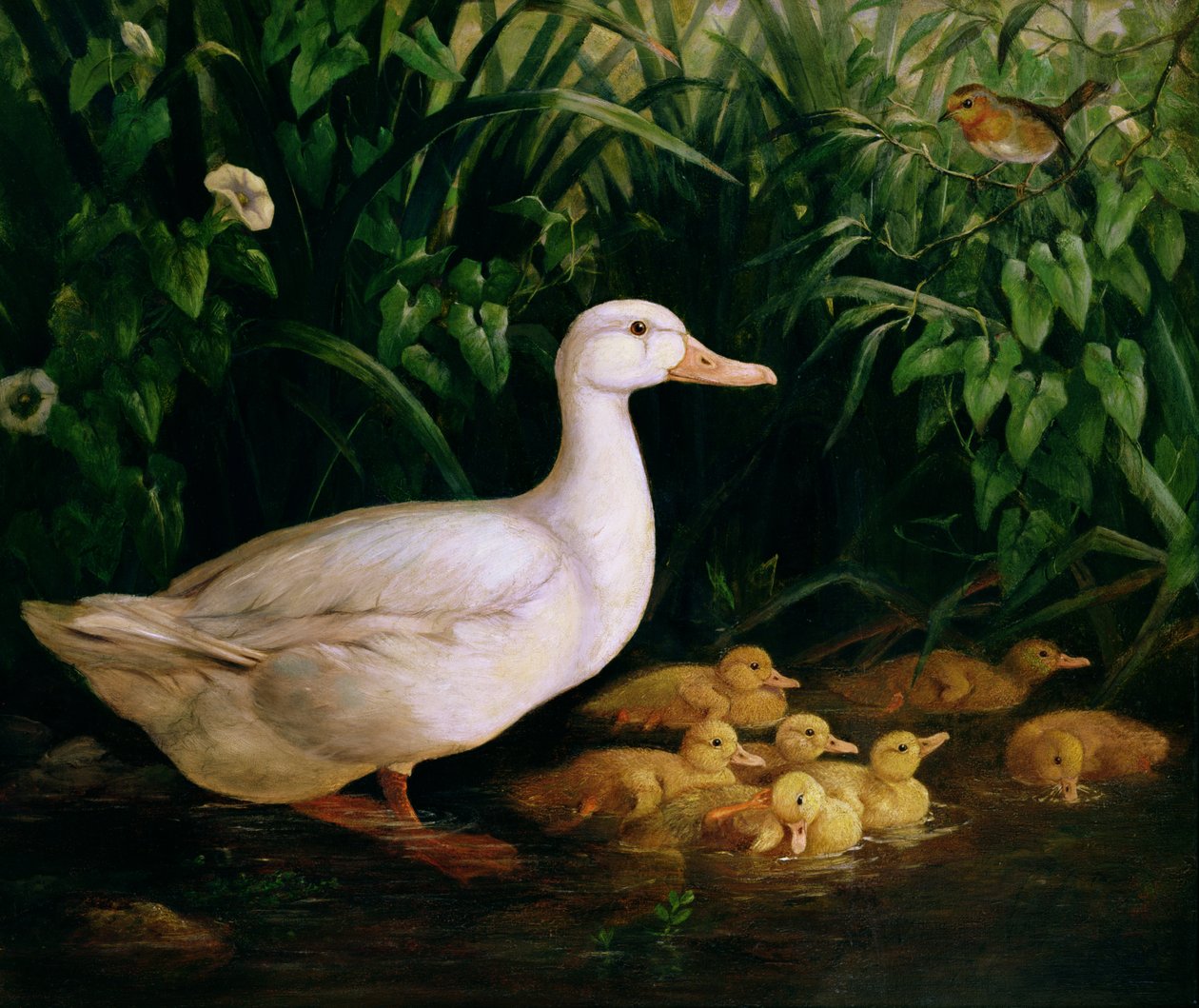 Anka och ankungar, c.1890 av English School