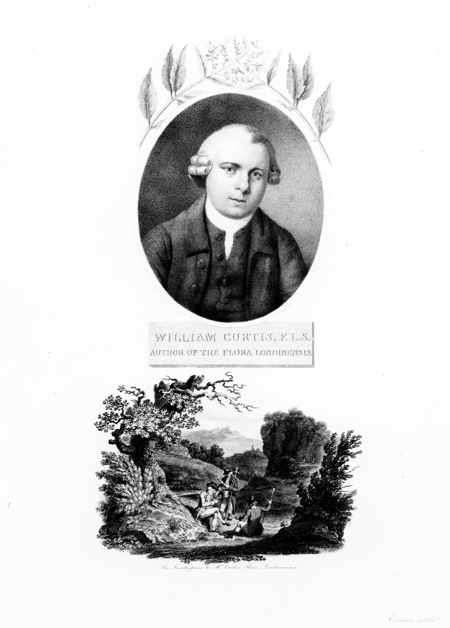 Frontispice av "Flora Londinensis", med ett porträtt av författaren William Curtis, upplaga publicerad 1802 av English School