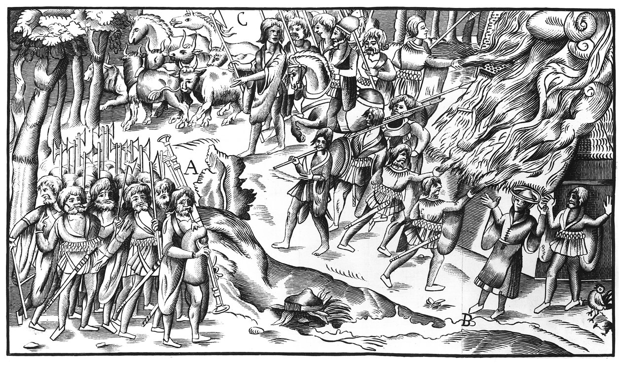 Irish Cattle Raid on an English Plantation, 1581 av English School