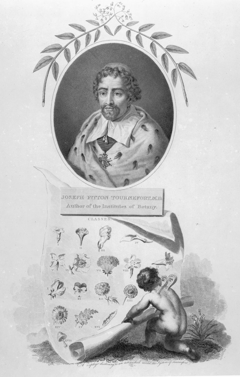 Joseph Pitton de Tournefort swed av English School
