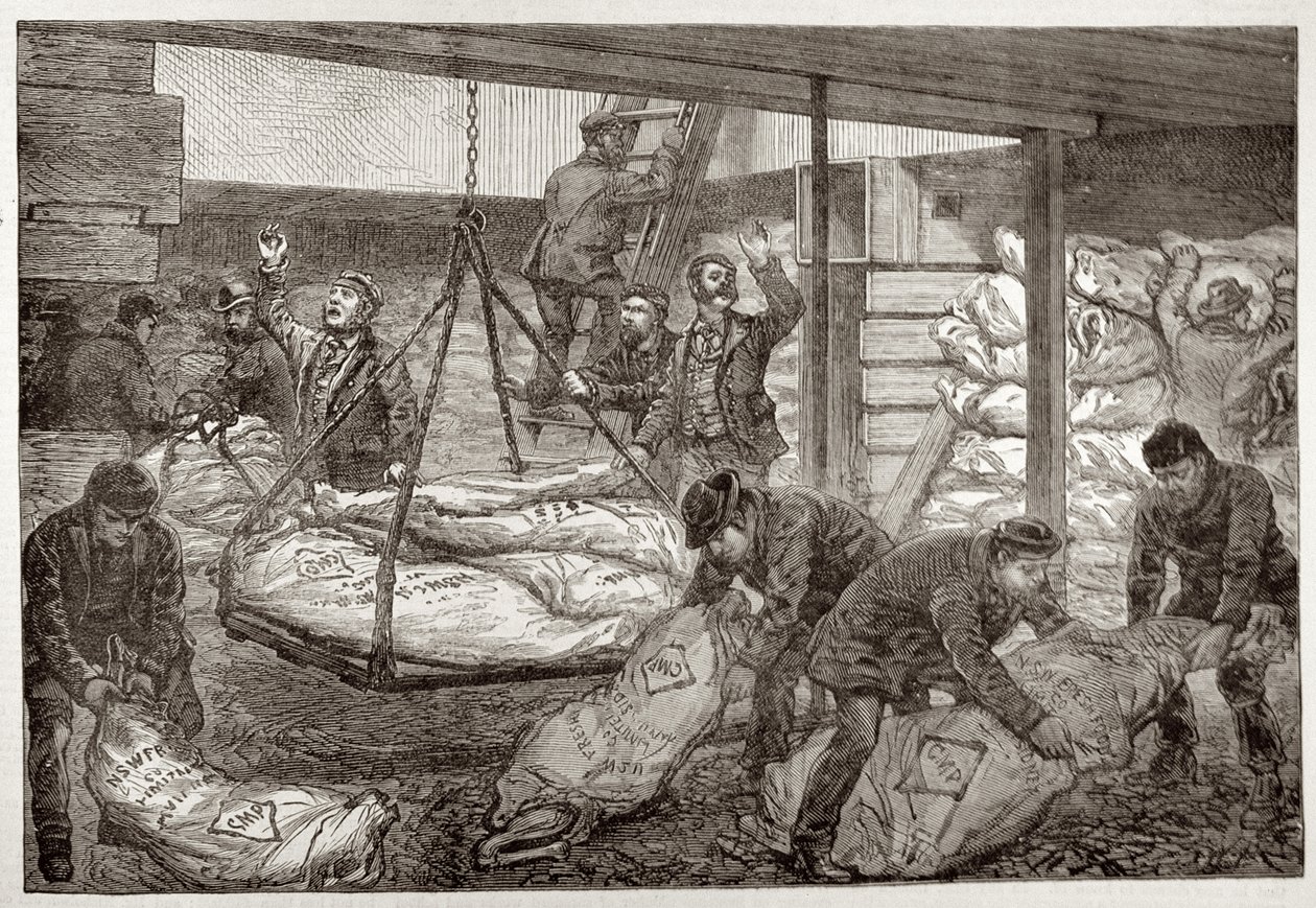 Landar australiskt fryst kött från Sydney i South West India Dock, Millwall, från 