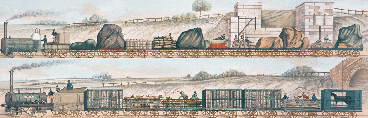Liverpool och Manchester Railway: Frakt och boskap av English School