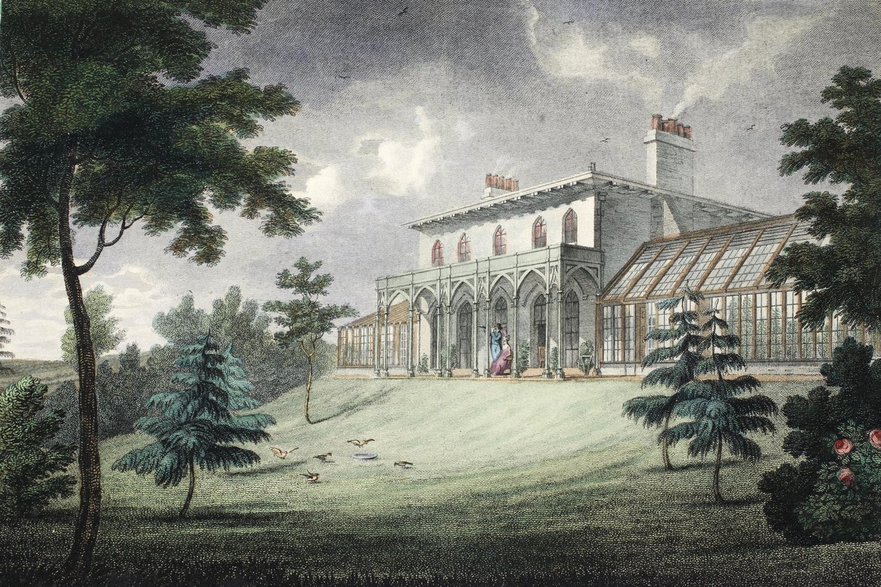 Mount Ararat, Wimbledon, pub. c. 1828 (handfärgad gravyr) av English School