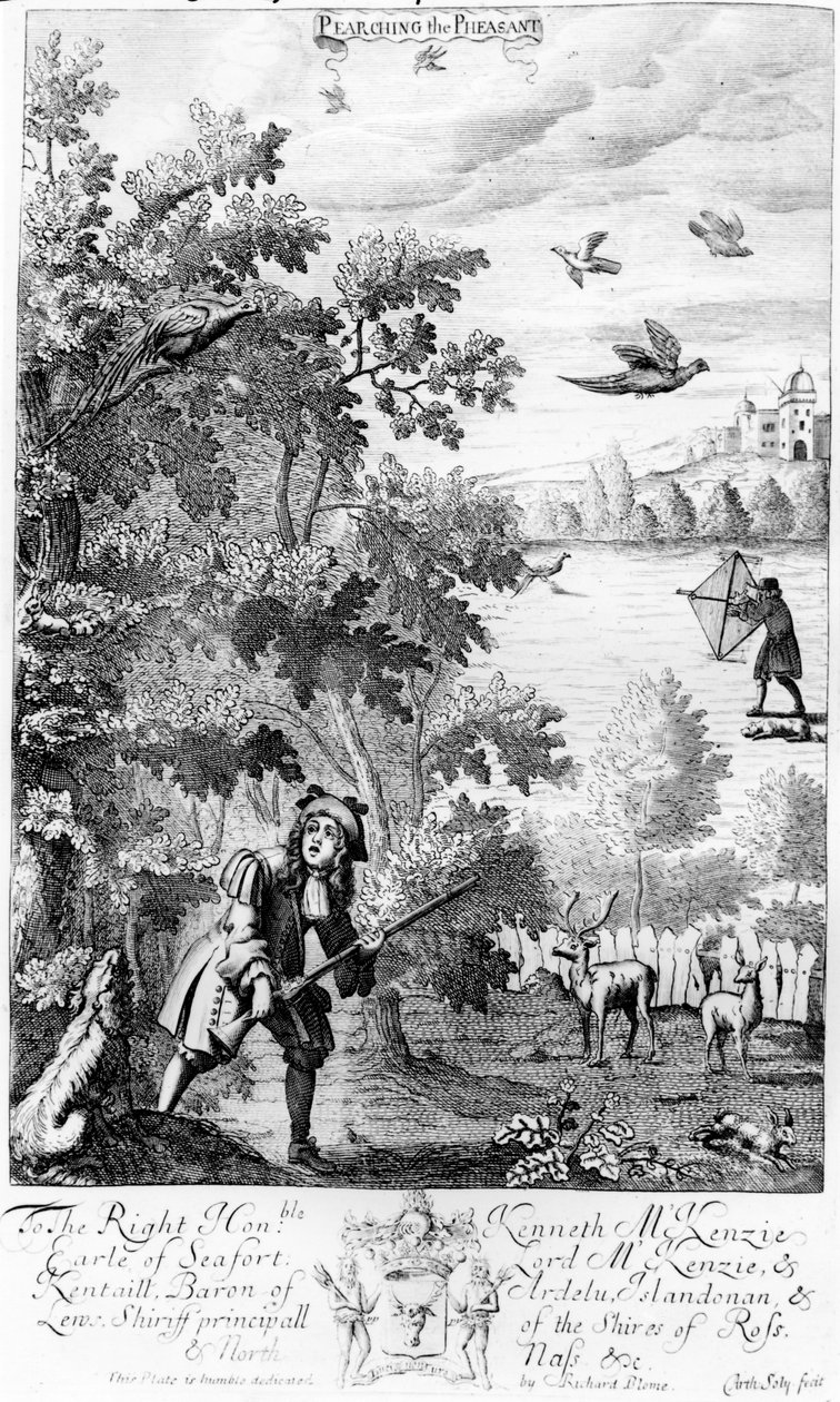 Pearching the Pheasant, från 