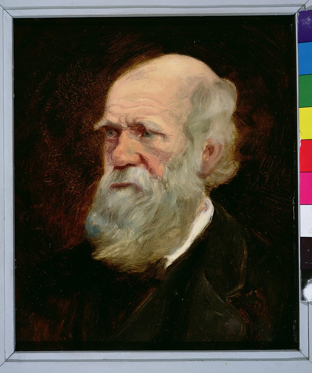 Porträtt av Charles Robert Darwin (1809-82) engelsk naturforskare av English School