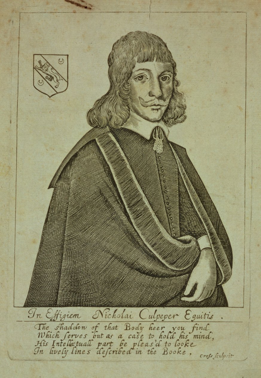 Porträtt av Nicholas Culpeper (1616-54) från A Physical Directory, eller en översättning av London Dispensatory, graverad av Thomas Cross, 1649 av English School
