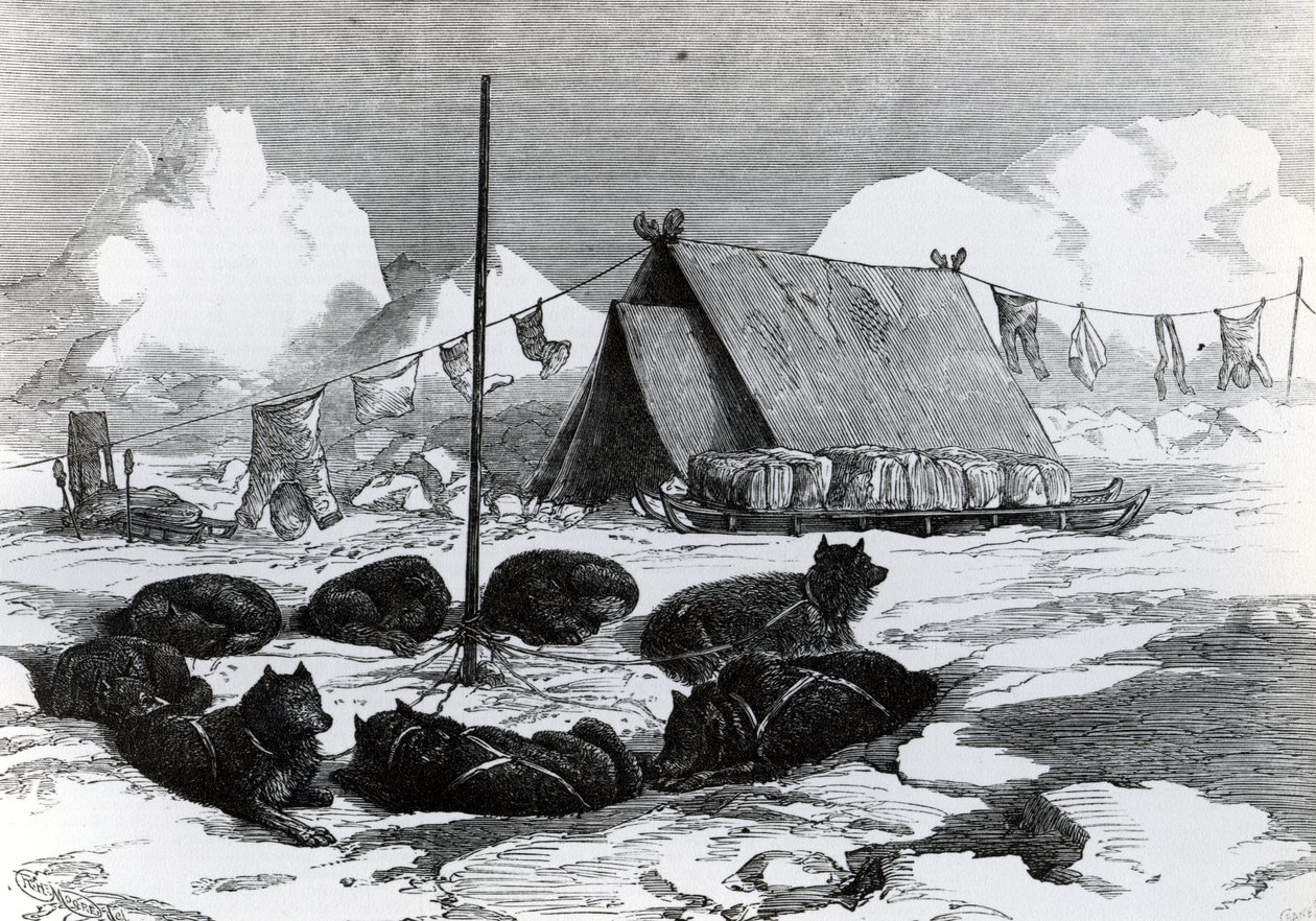 Släderesor: Metod för att fästa hundar vid camping, 1876 av English School