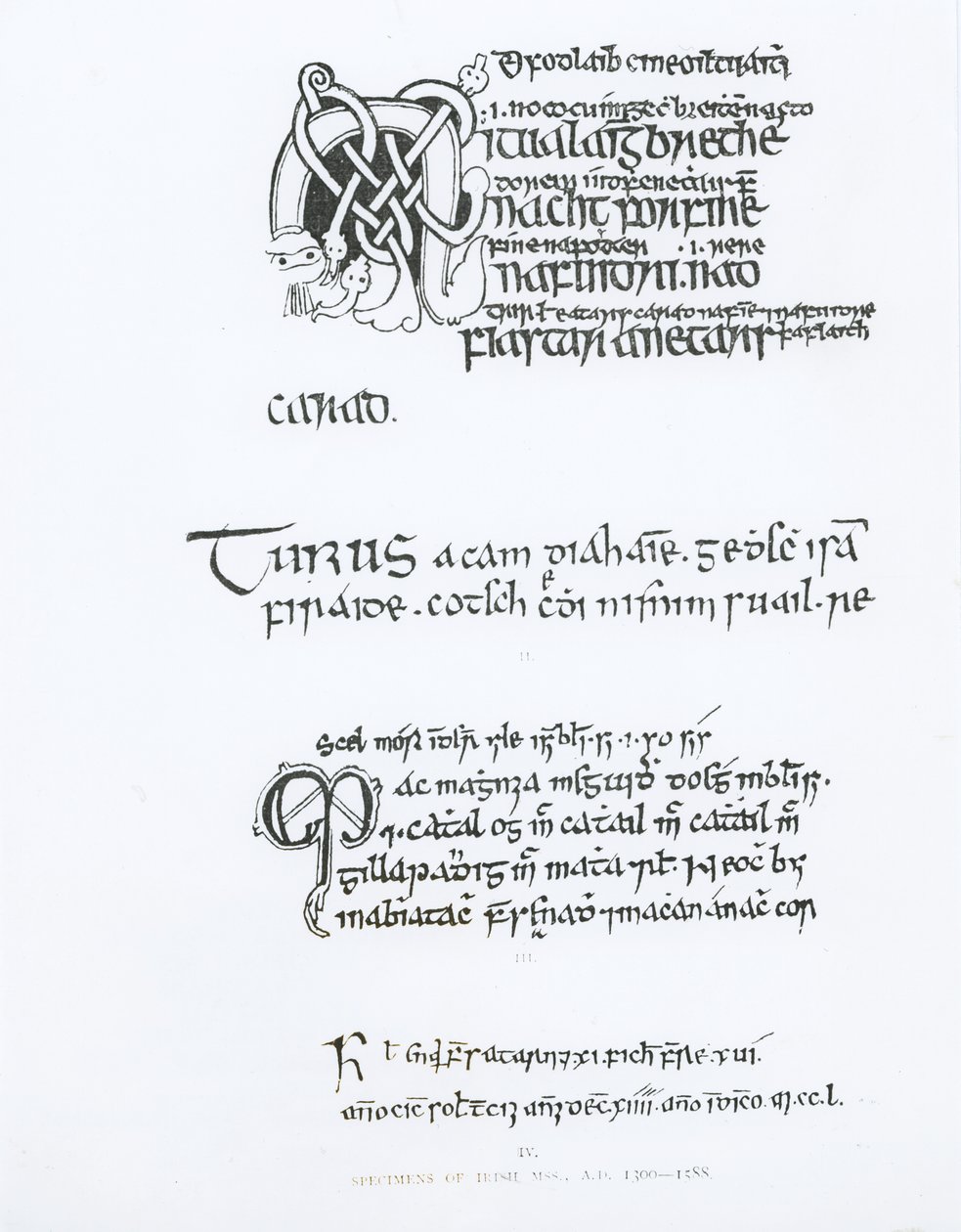 Exemplar av irländska handskrifter, ca 1300-1588 av English School