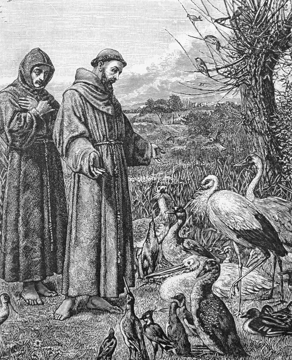St. Franciskus av Assisi (1182-1226) av English School