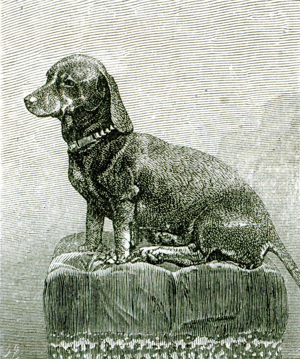 The Dog Jacob, från 