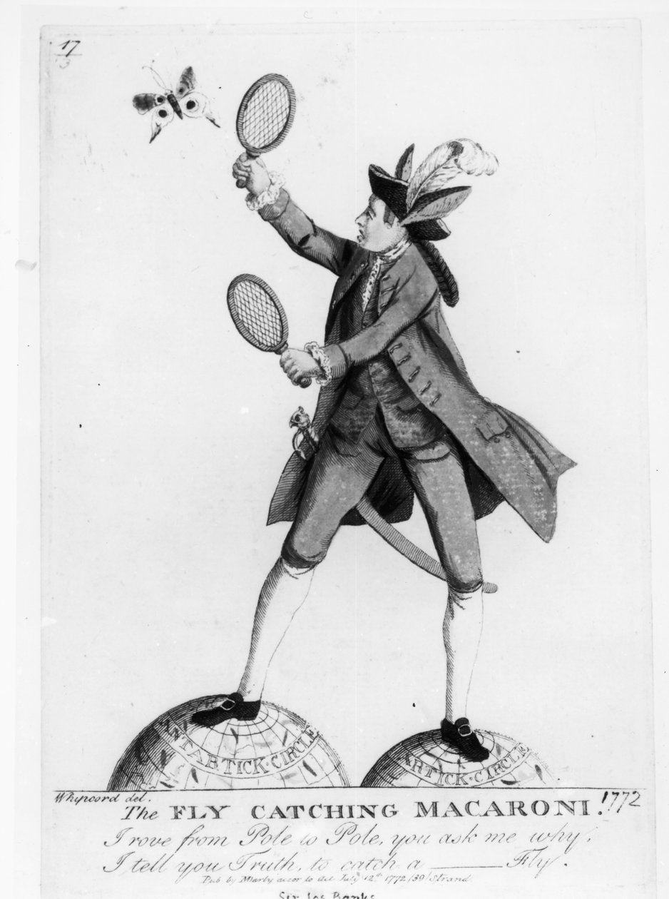 Den flugfångande makaronerna, graverad av Whipcord, pub. av N. Darly, 12 juli 1772 av English School