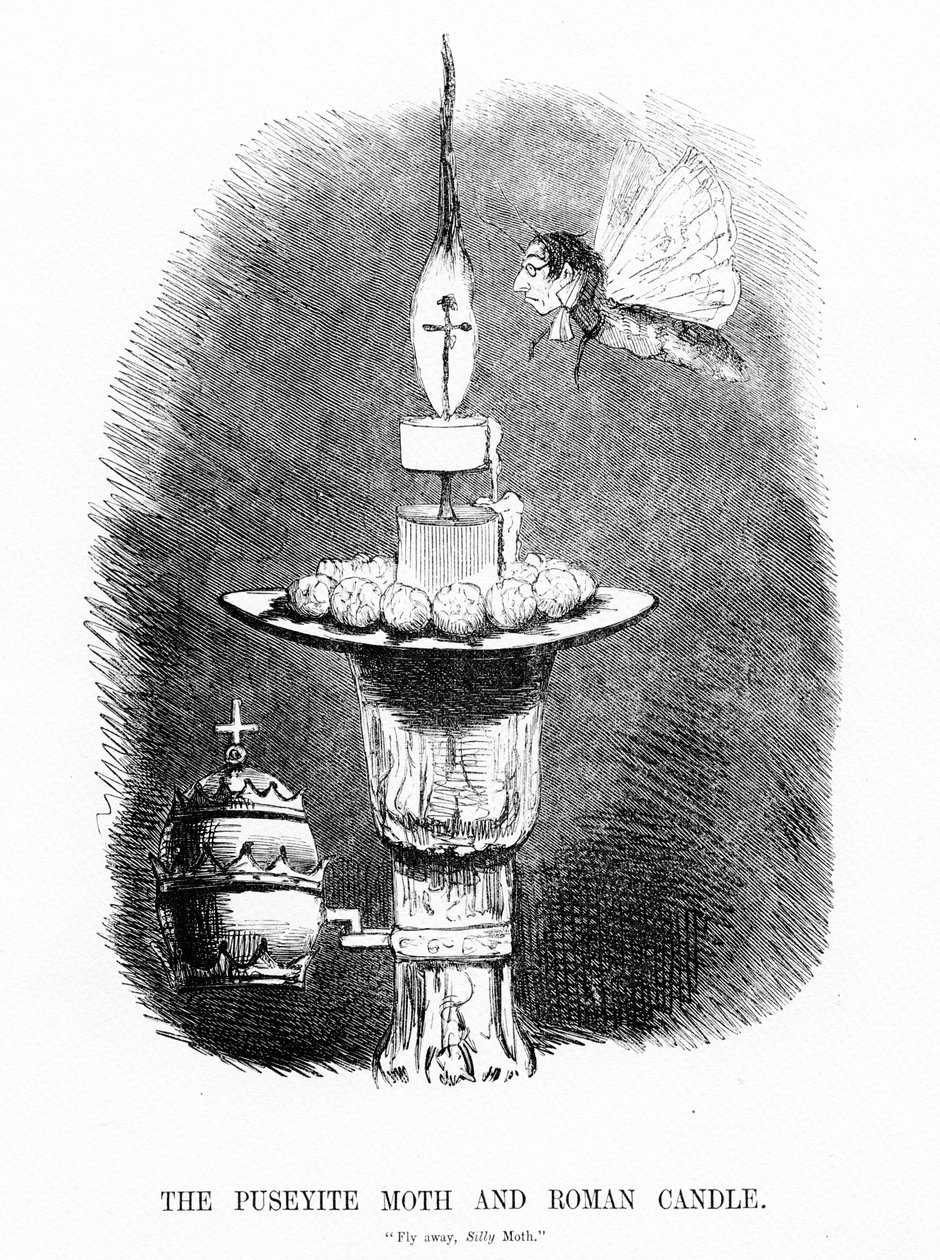 The Puseyite Moth and the Roman Candle, illustration från 