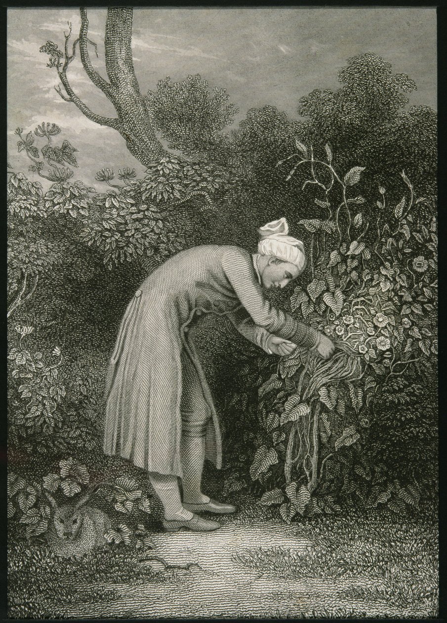 William Cowper (1731-1800) av English School