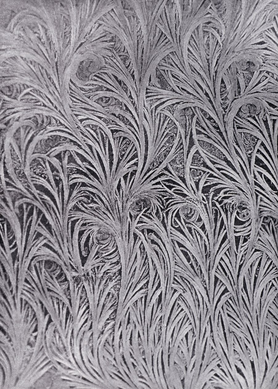 En studie av frostkristaller på en fönsterruta (svartvitt foto) av English Photographer