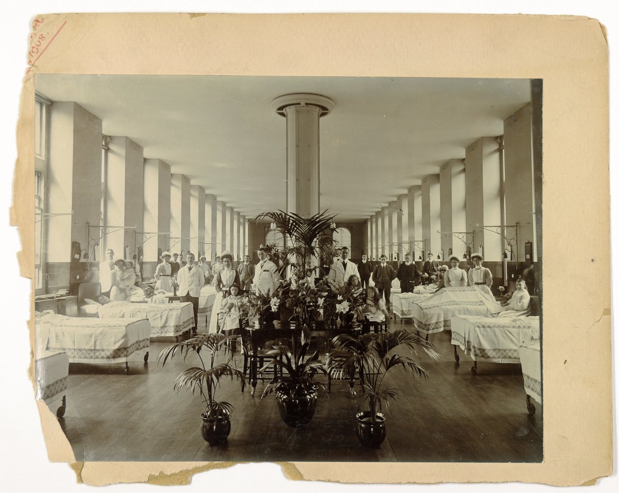 En avdelning vid St. Thomas Hospital, 1908 av English Photographer
