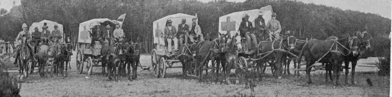 Ambulansvagnar som lämnar Plague Hospital i Kapstaden, illustration från The King, 25 maj 1901 av English Photographer