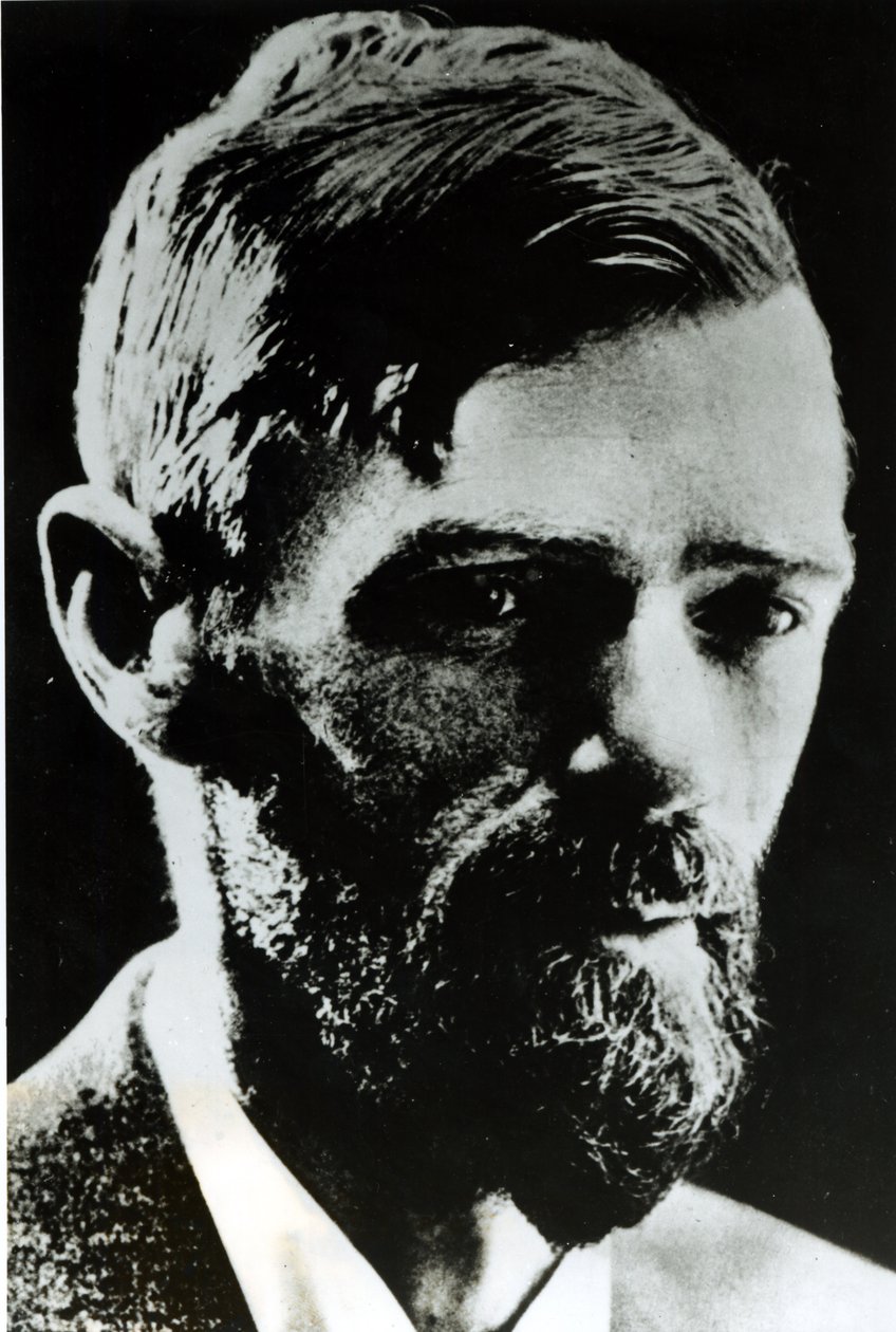David Herbert Lawrence (1885-1930) av English Photographer