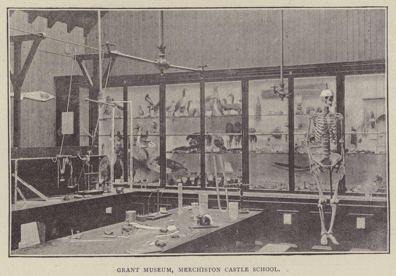 Grant Museum, Merchiston Castle School (gravyr) av English Photographer