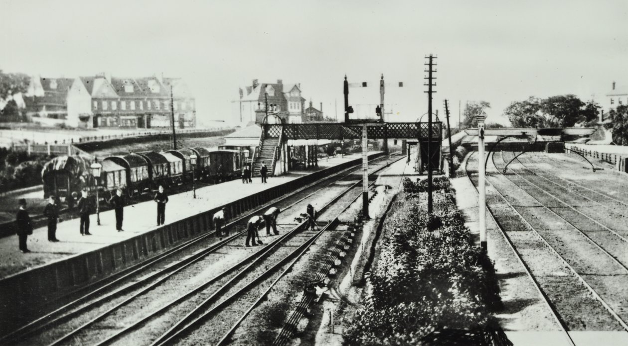 Grove Park Station: exteriör och plattformar, 1888 av English Photographer