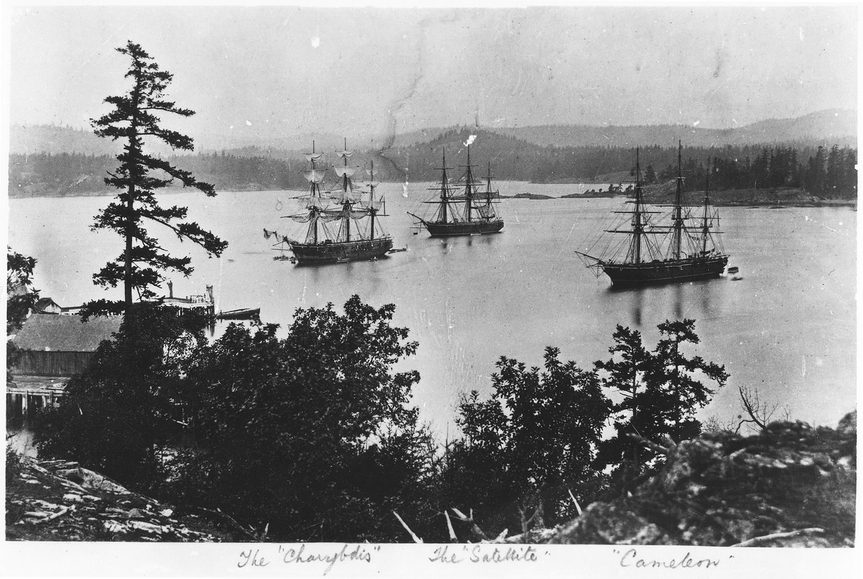 HMS Charybdis, HMS Satellite och HMS Cameleon vid Esquimalt Royal Navy Dockyard, British Columbia, omkring 1880-talet. av English Photographer