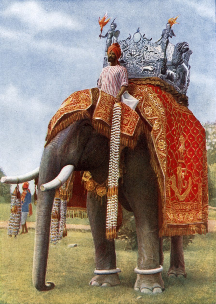 Det förhistoriska Indien: Dess färg och magi (färgfoto) av English Photographer