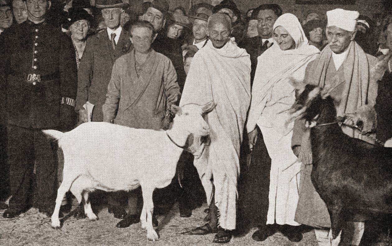 Mahatma Gandhi anländer till London, England 1931 med sin lärjunge, Madeleine Slade, och hans två getter, från The Story of Twenty Five Years, publicerad 1935 av English Photographer