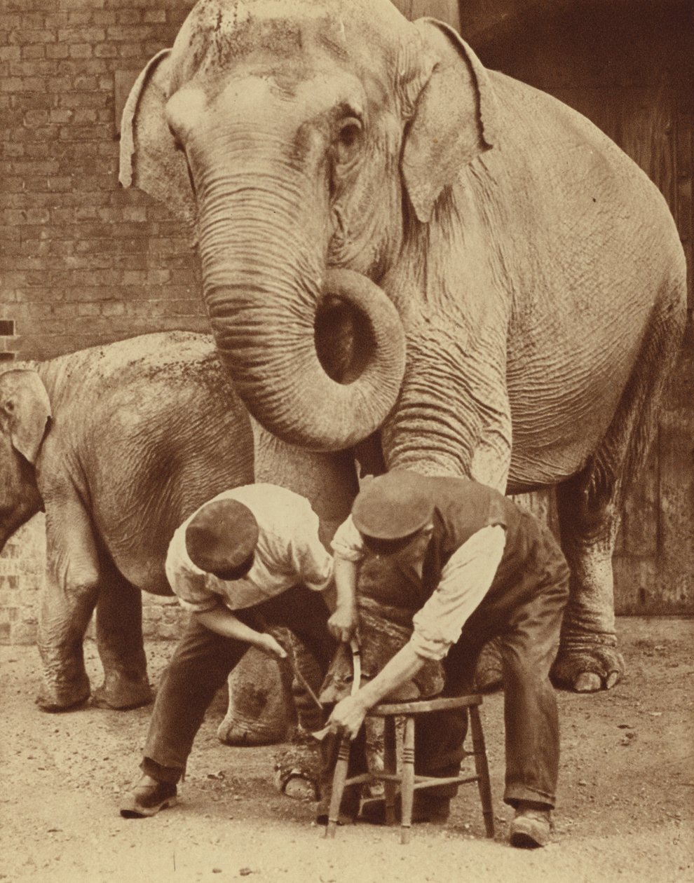 av English Photographer