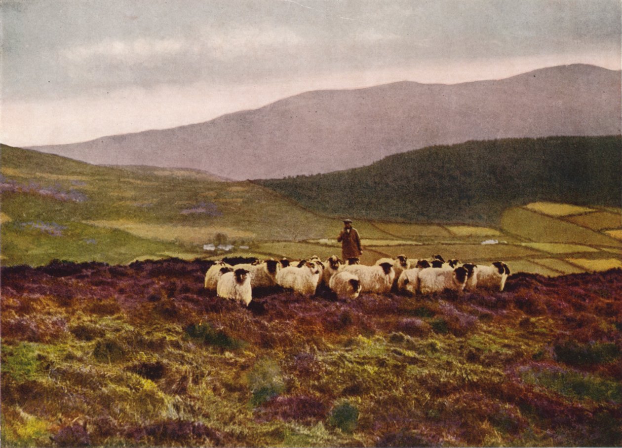 På Mourne-bergen, County Down (färgfoto) av English Photographer
