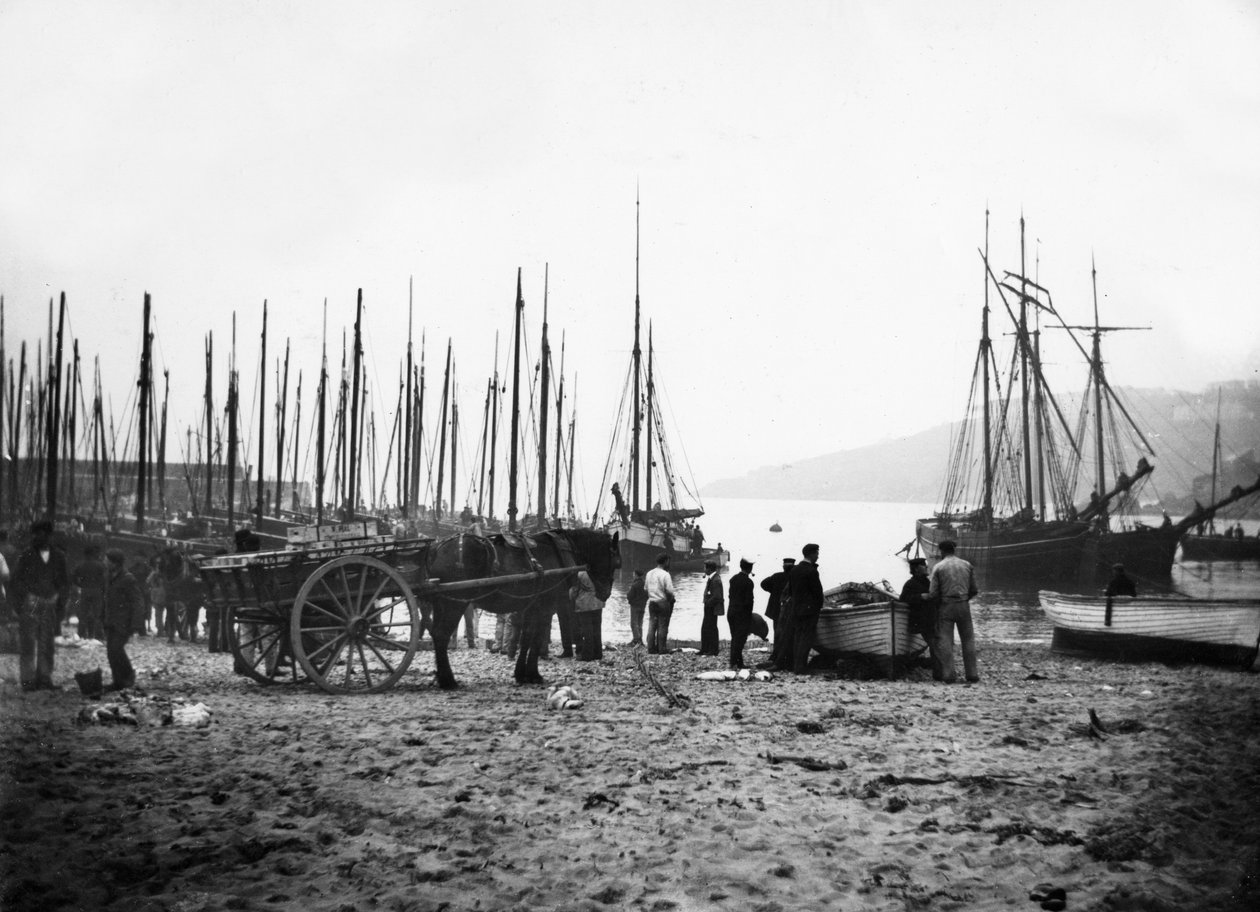 St Ives hamn blickar mot Carbis Bay, ca 1880-99 av English Photographer