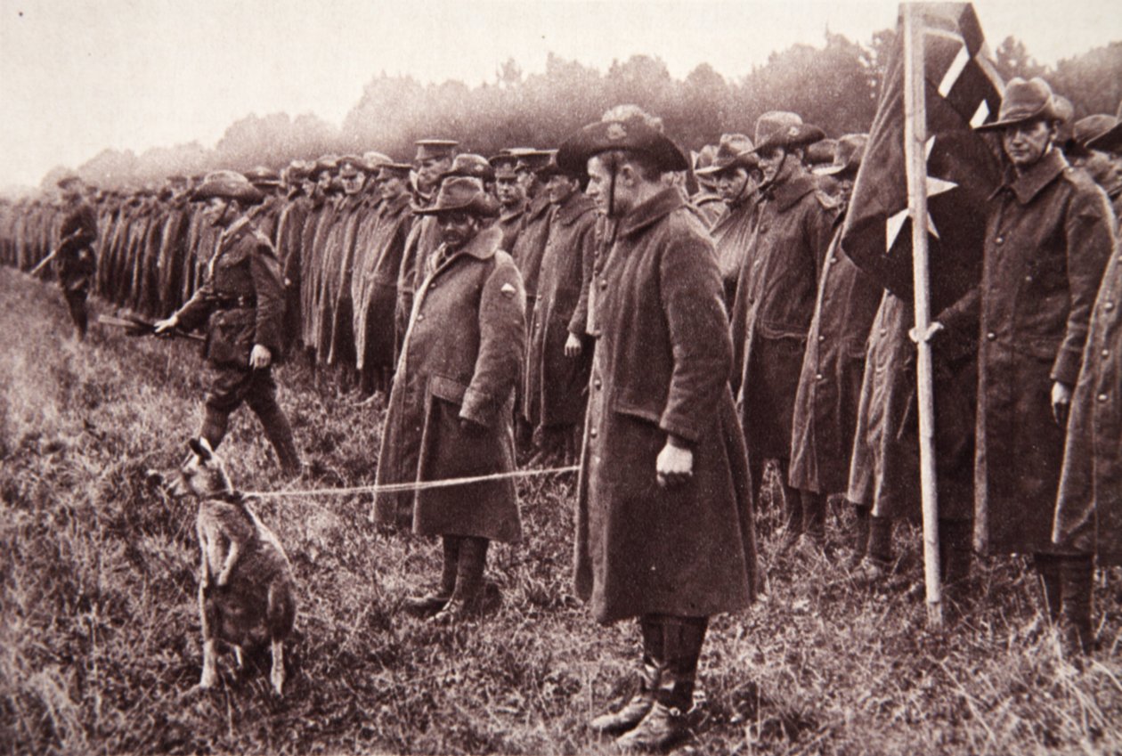 Anzac-recensionen på Salisbury Plain: en australisk maskot, illustration från The Illustrated War News, 27 september 1916 (sepiafoto) av English Photographer