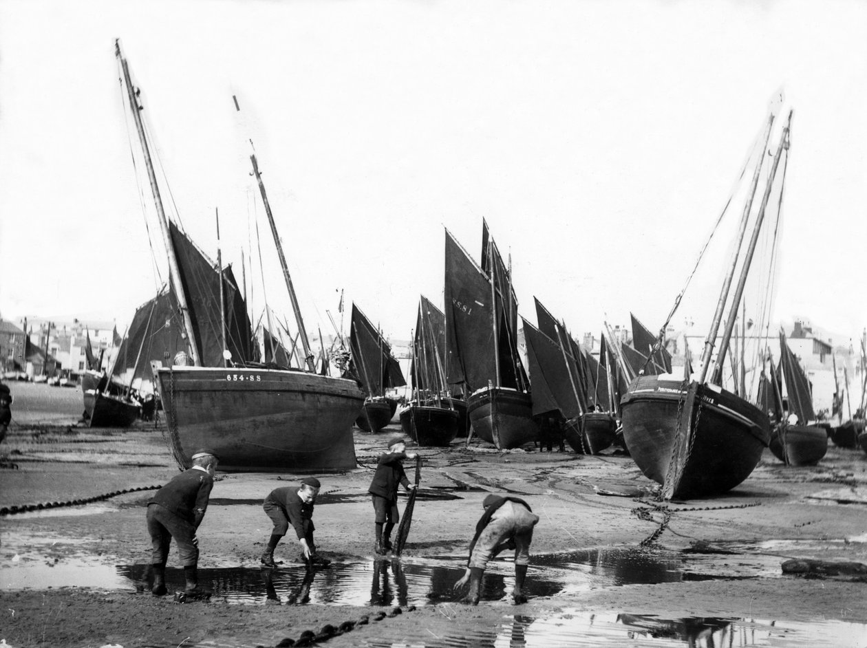 Fiskeflottan i St Ives hamn, ca 1880-99 av English Photographer