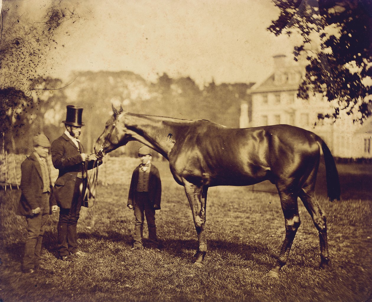 Wild Dayrell, vinnare av Derbyt 1856 av English Photographer