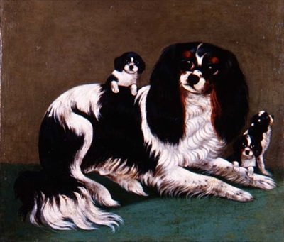 En King Charles Spaniel-familj, Provincial School av English School