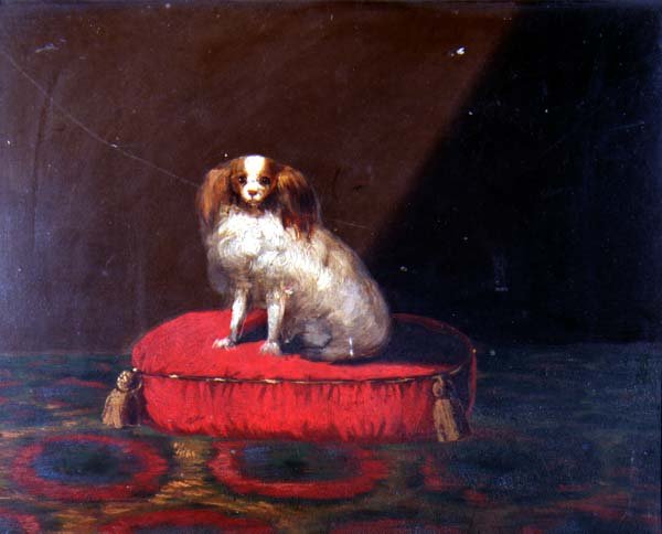 En King Charles Spaniel på en röd kudde, Provincial School av English School