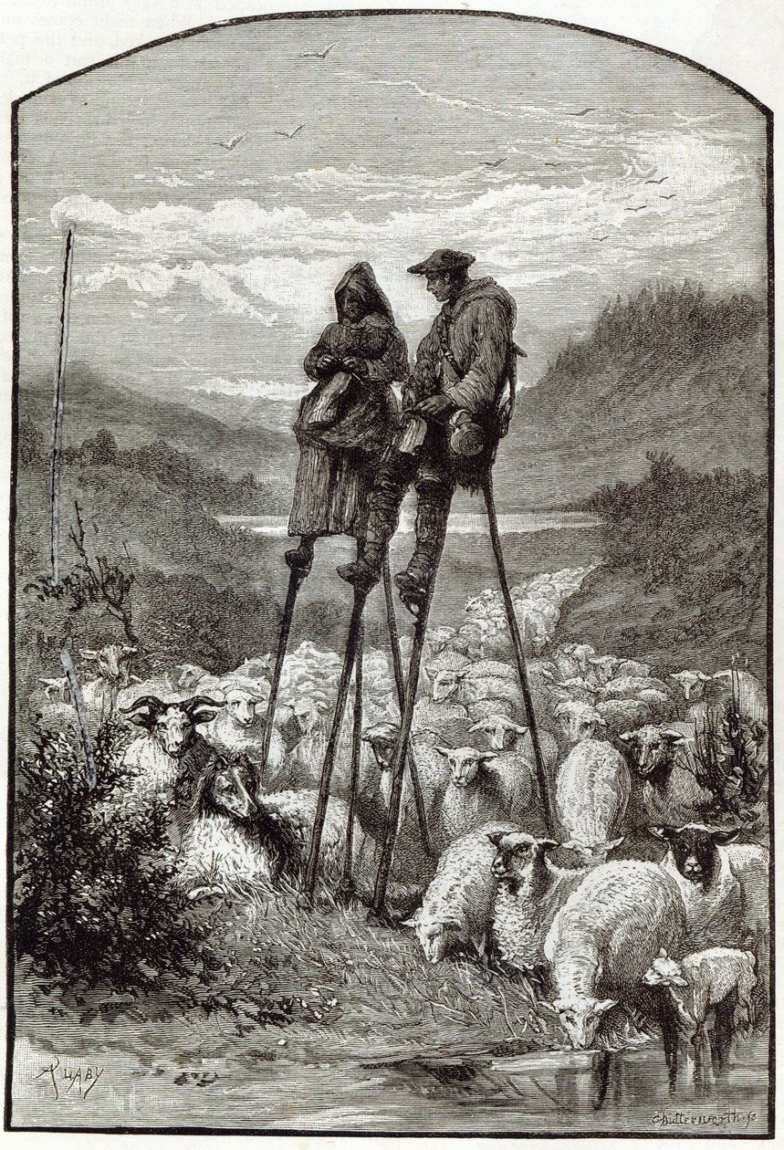 A Pastoral in the Landes, från 