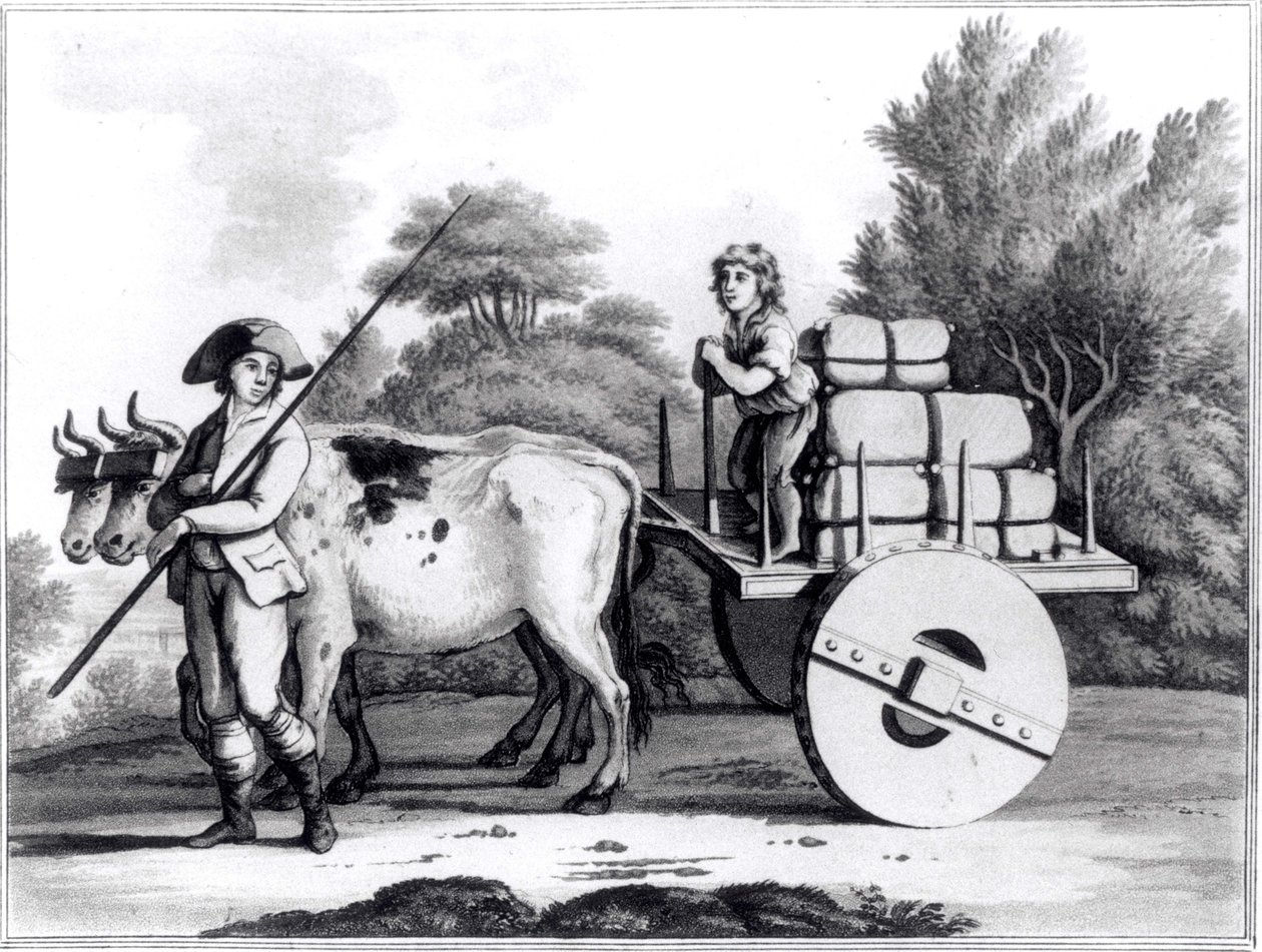 En portugisisk gård, från A General View of the State of Portugal av James Murphy, publicerad 1797 av English School