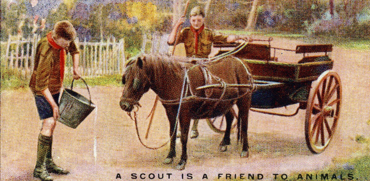En scout är en vän med djur, 1929 av English School