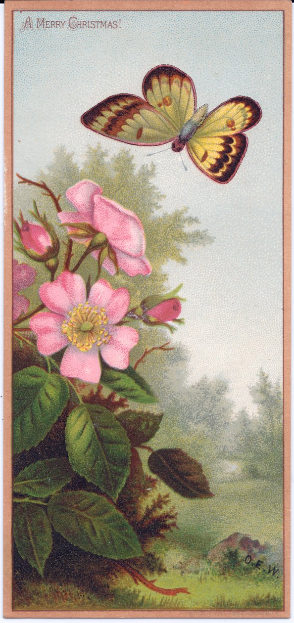 Ett viktorianskt julkort föreställande en fjäril och en buske av hundrosor, c.1880 av English School