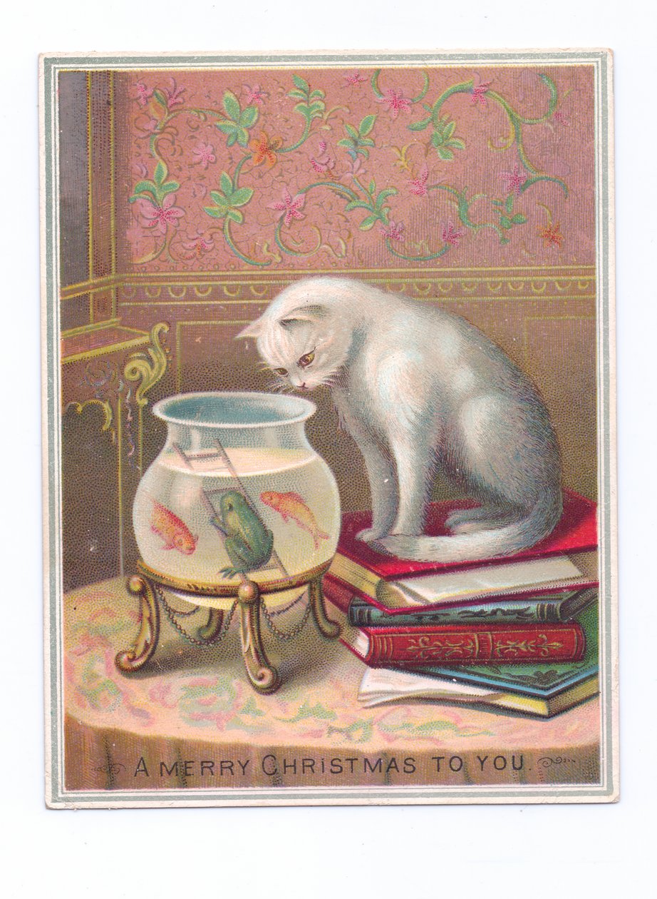 Ett viktorianskt julkort med en katt som sitter på en trave böcker och tittar ner i en guldfiskskål, ca 1880 (färglitografi) av English School
