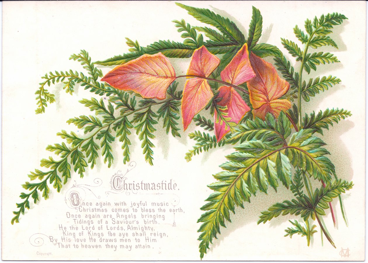 Ett viktorianskt julkort med en spray av ormbunkar, c.1880 av English School
