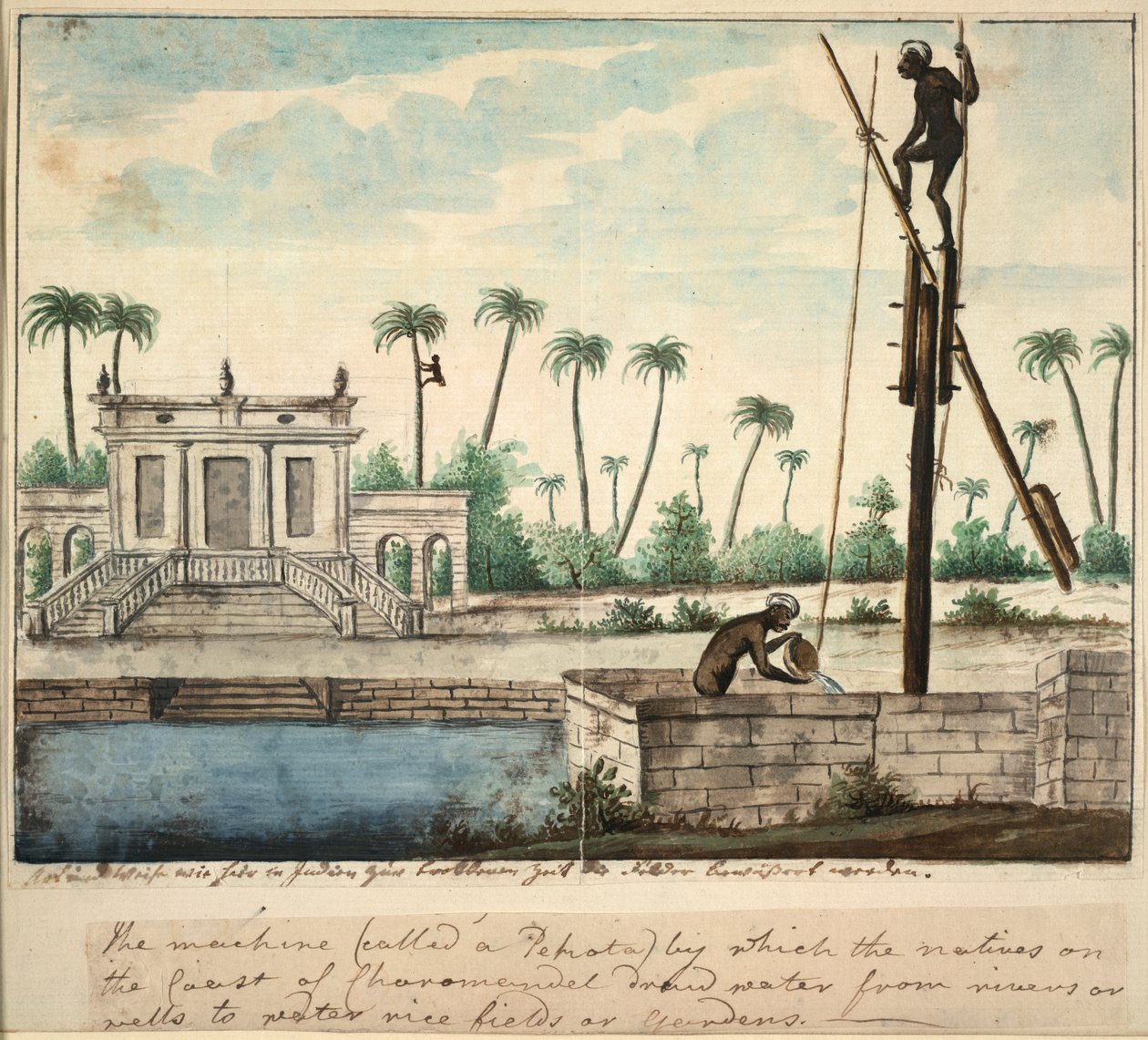 En kolonial trädgård som visar bevattning, ca 1787 (akvarell på papper) av English School