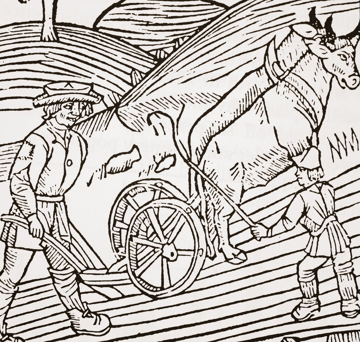 Ett par oxar okade till en plog, titelblad från John Fitzherberts Boke of Husbandry, första puben. 1523 av English School