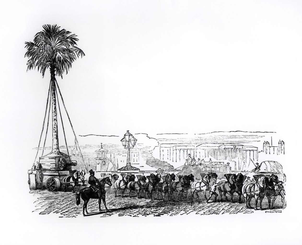 En palm transporteras till Hyde Park för den stora utställningen, London, 1851 av English School
