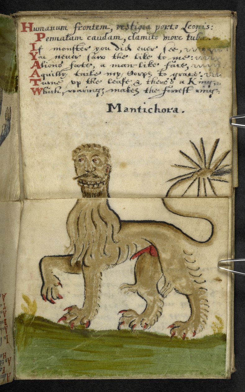 Lägg till MS 57312 f.11 spelbok (bläck & färg på veläng) av English School