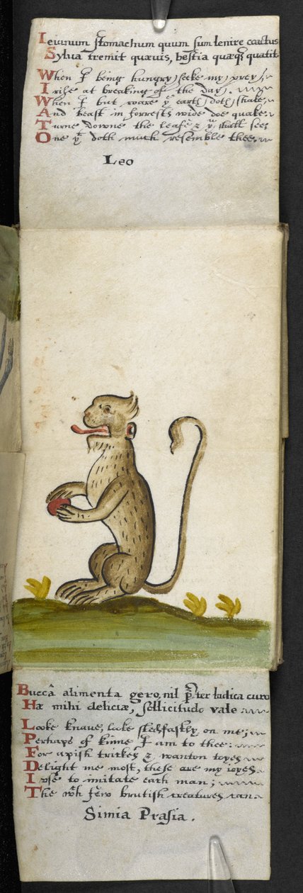 Lägg till MS 57312 f.12 spelbok (bläck & färg på veläng) av English School